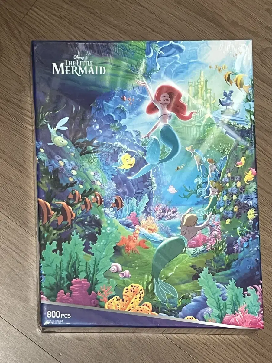 The Little Mermaid Puzzle