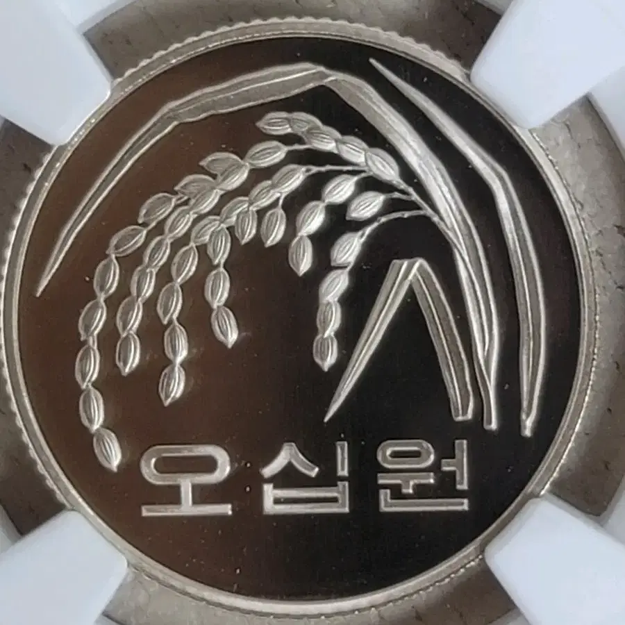 희귀동전 2020년 70등급 프루프주화 50주