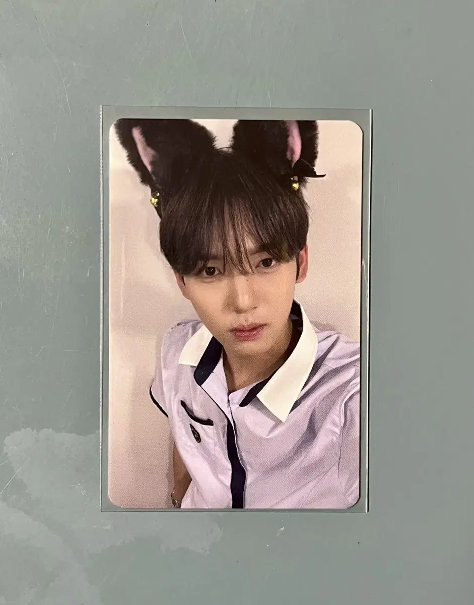 ZB1 makestar Cat's ear Han Lim han yujin unreleased photocard photocard (zerobaseone)