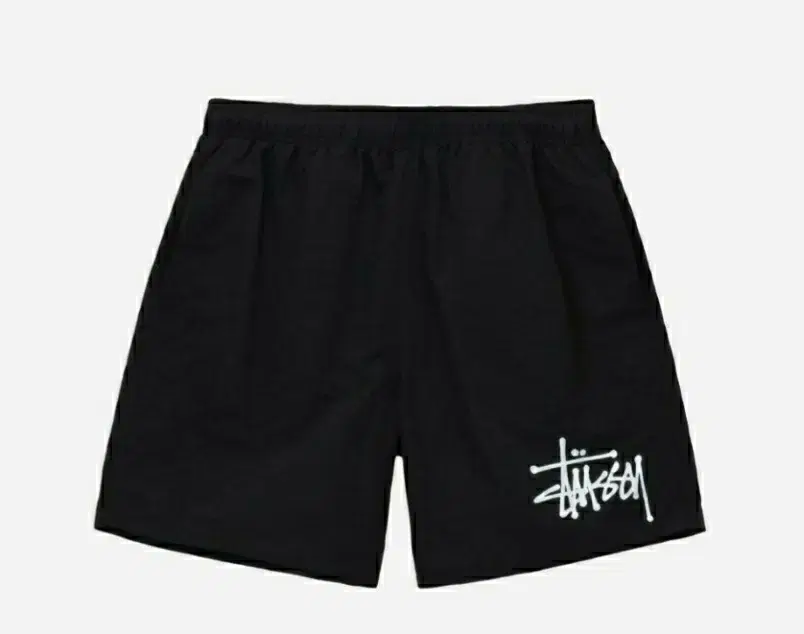 [domestic] Stussy Water Shorts Big Basic Large 113156N