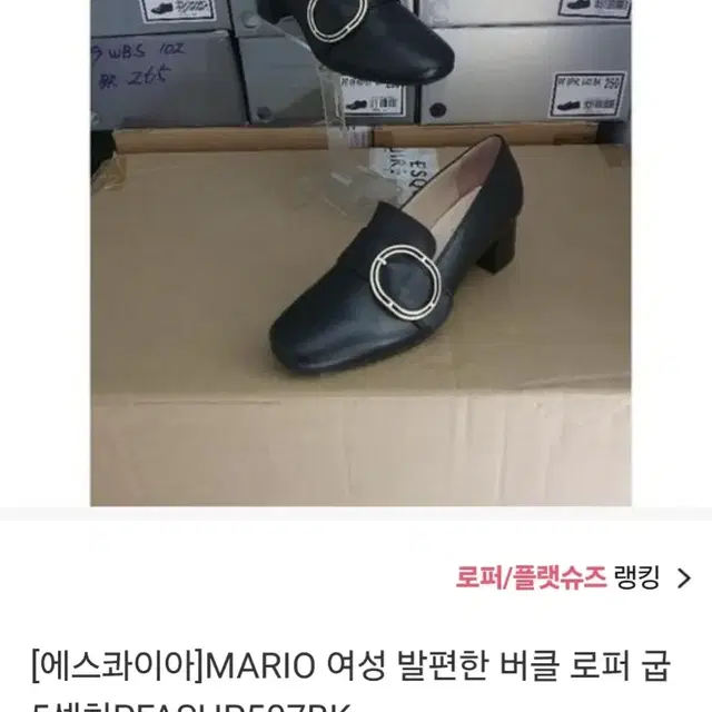 에스콰이어 버클로퍼