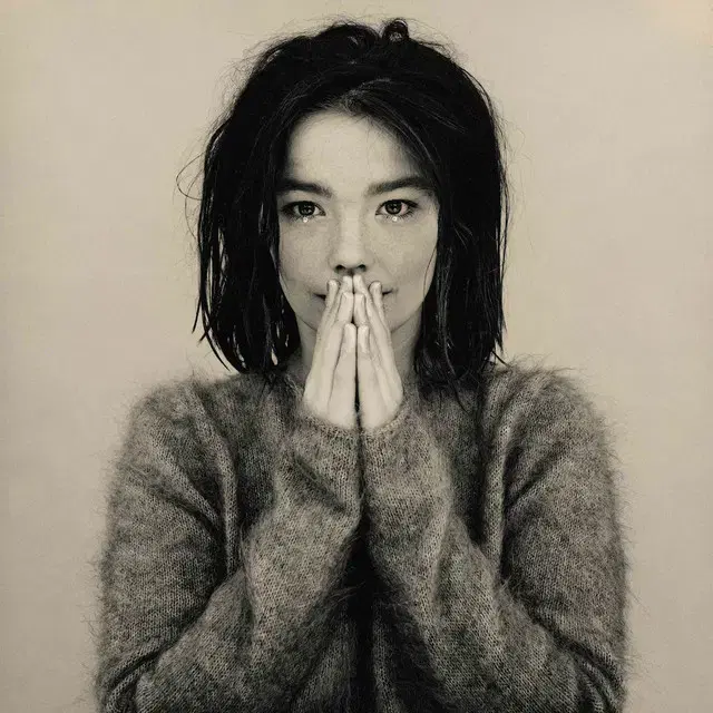 Bjork - Debut (CD) 유럽반 초판 민트급 중고