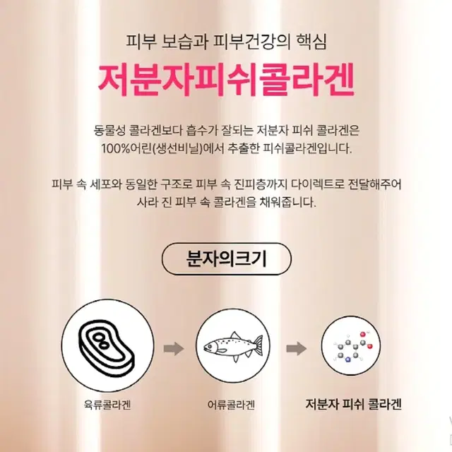 일양약품 프리미엄급 마시는 저분자 피쉬 콜라겐 x3박스 Total가격