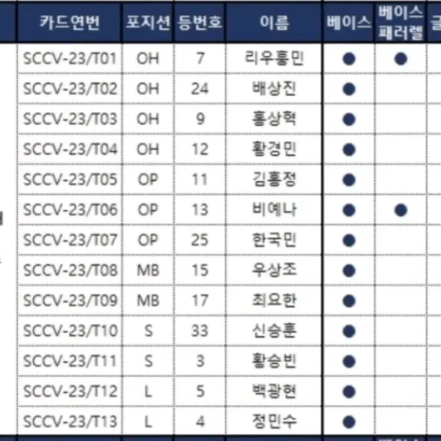 SCC KOVO KB손해보험 스타즈 배구 선수단 13명 베이스 풀세트