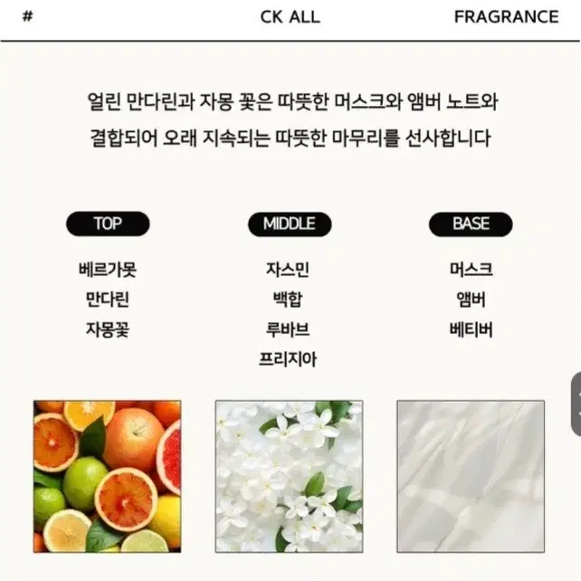 캘빈클라인 향수 100ml ck all 씨케이 올 비 남성 남녀공용