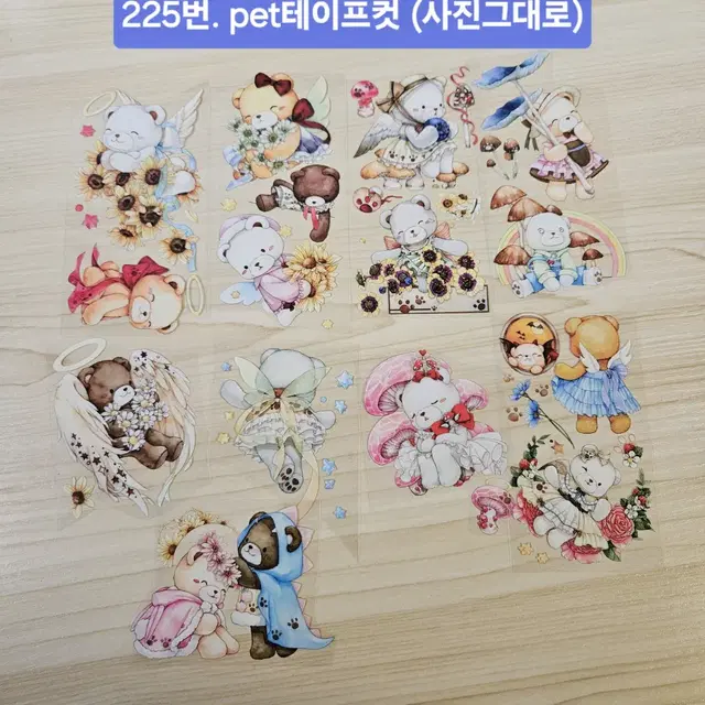 다꾸처분 225-226 |  pet마테컷, 화라님pet마테