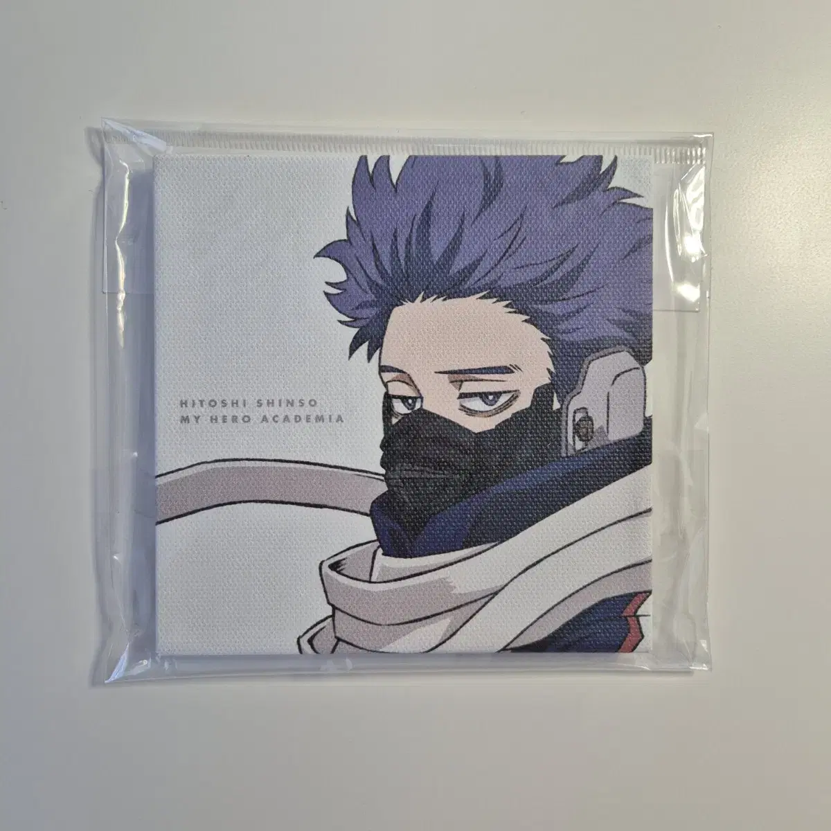 My Hero Academia Hiroaka Shinsou Canvas Frame