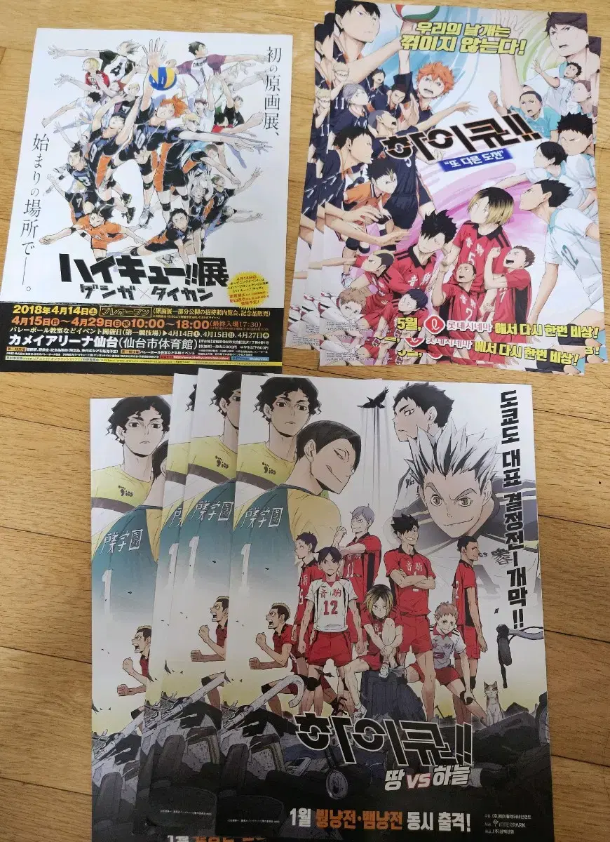 Haikyuu Theatrical Movie Pamphlet