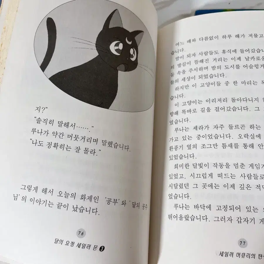 세일러문 책