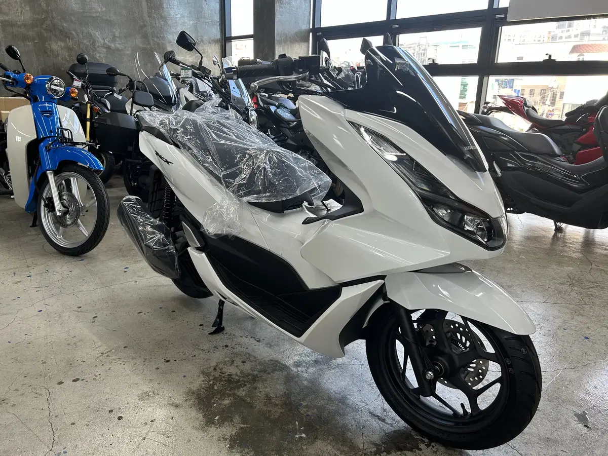 24년식 혼다 PCX125 ABS 신차 판매