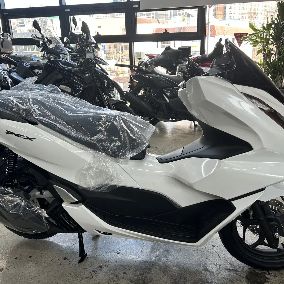 24년식 혼다 PCX125 ABS 신차 판매