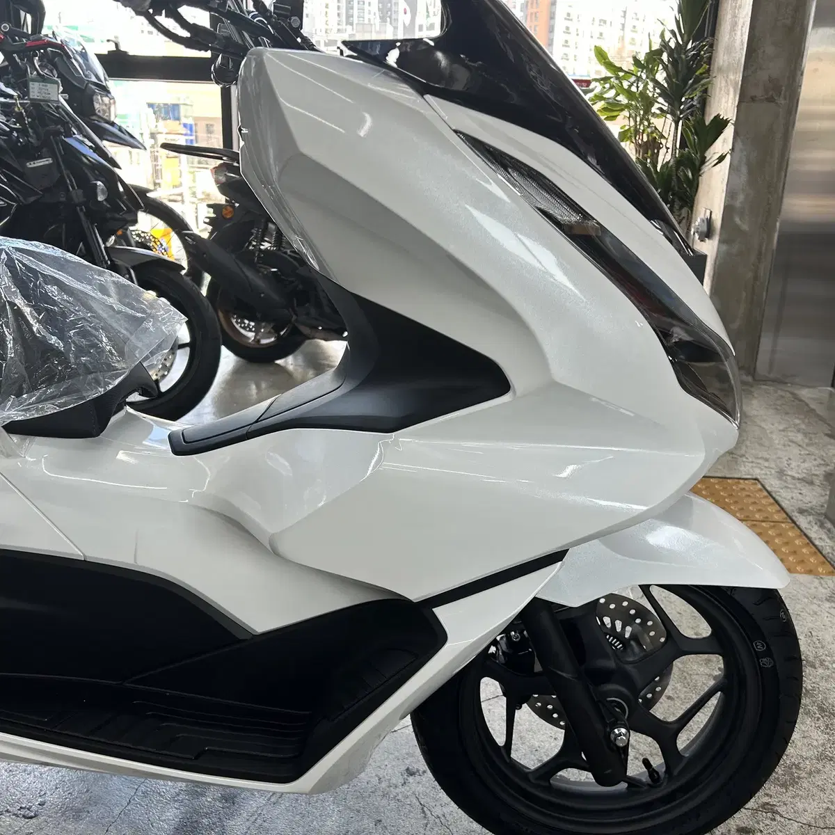 24년식 혼다 PCX125 ABS 신차 판매