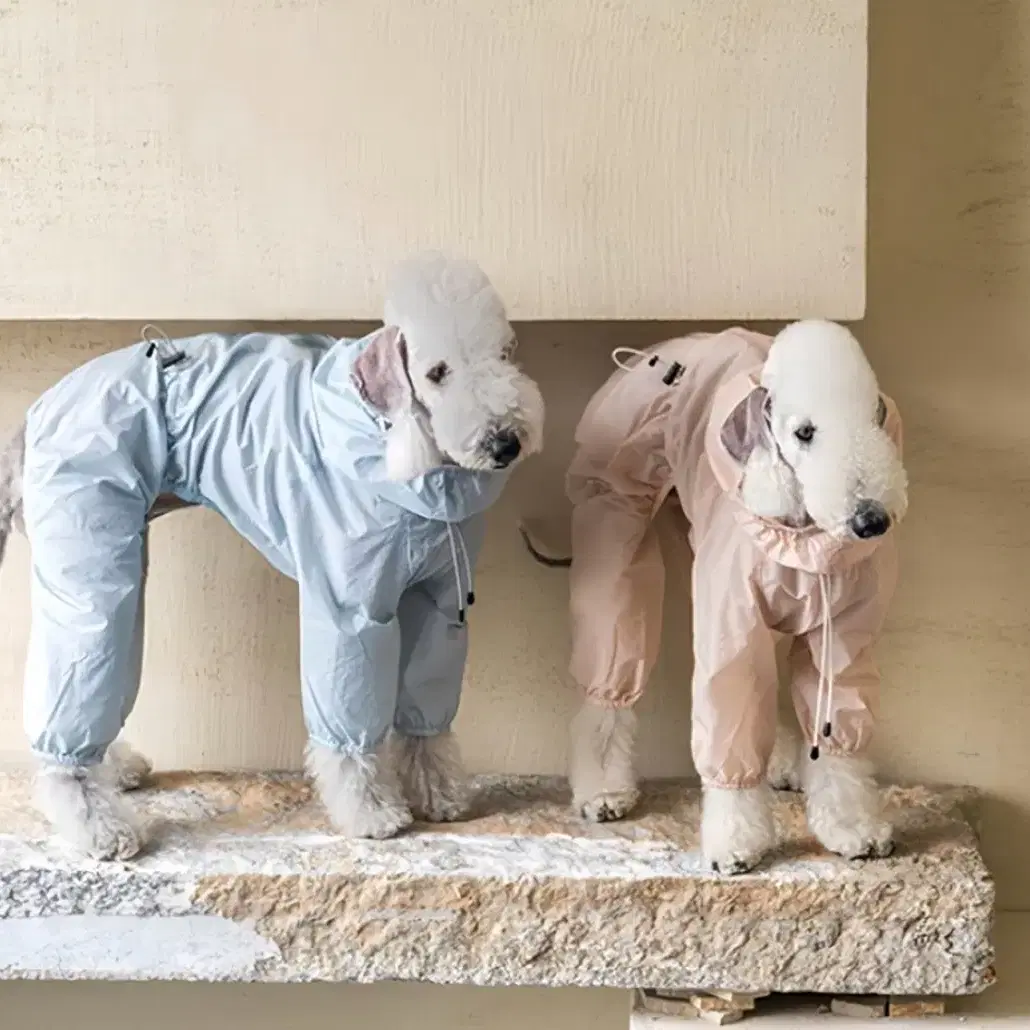 강아지 우비 바람막이 겸용