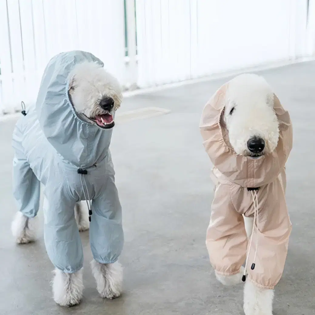 강아지 우비 바람막이 겸용