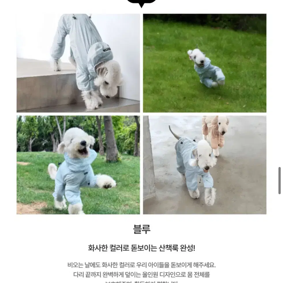 강아지 우비 바람막이 겸용