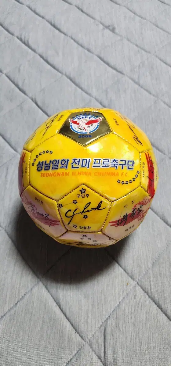 Seongnam Ilhwa Cheonma Professional Football Club signature soccer ball