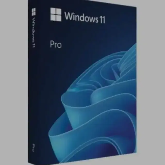 Windows 11 pro fpp 처음 사용자용 USB