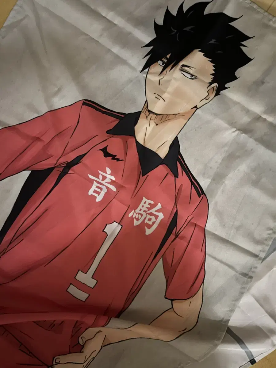 Haikyuu Kuroo 2M Full Body Tapestry