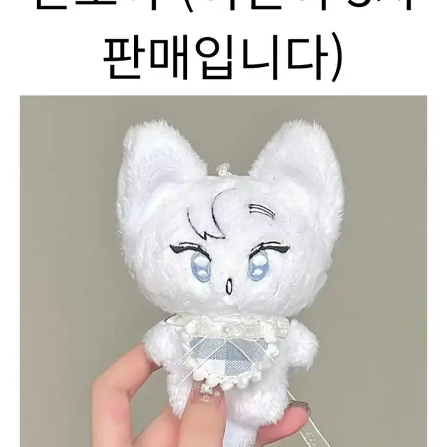 플레이브인형 한모야.한노노 일괄 폼양도