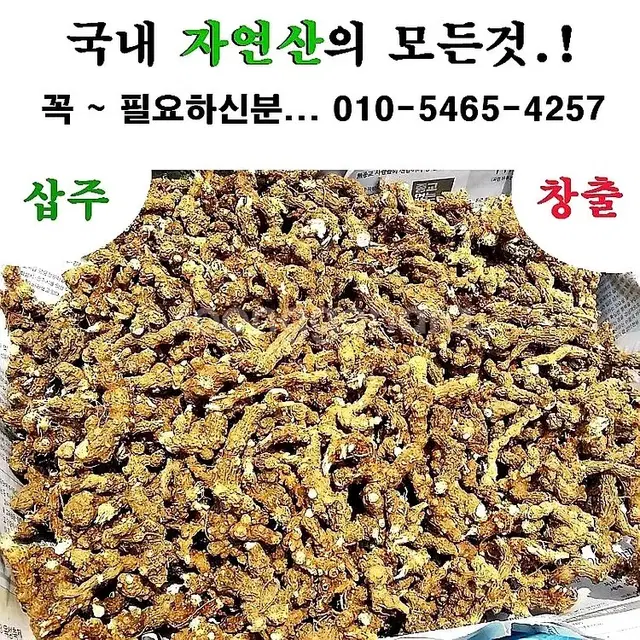 자연산 산도라지 잔대 봉삼 영지버섯 덕다리