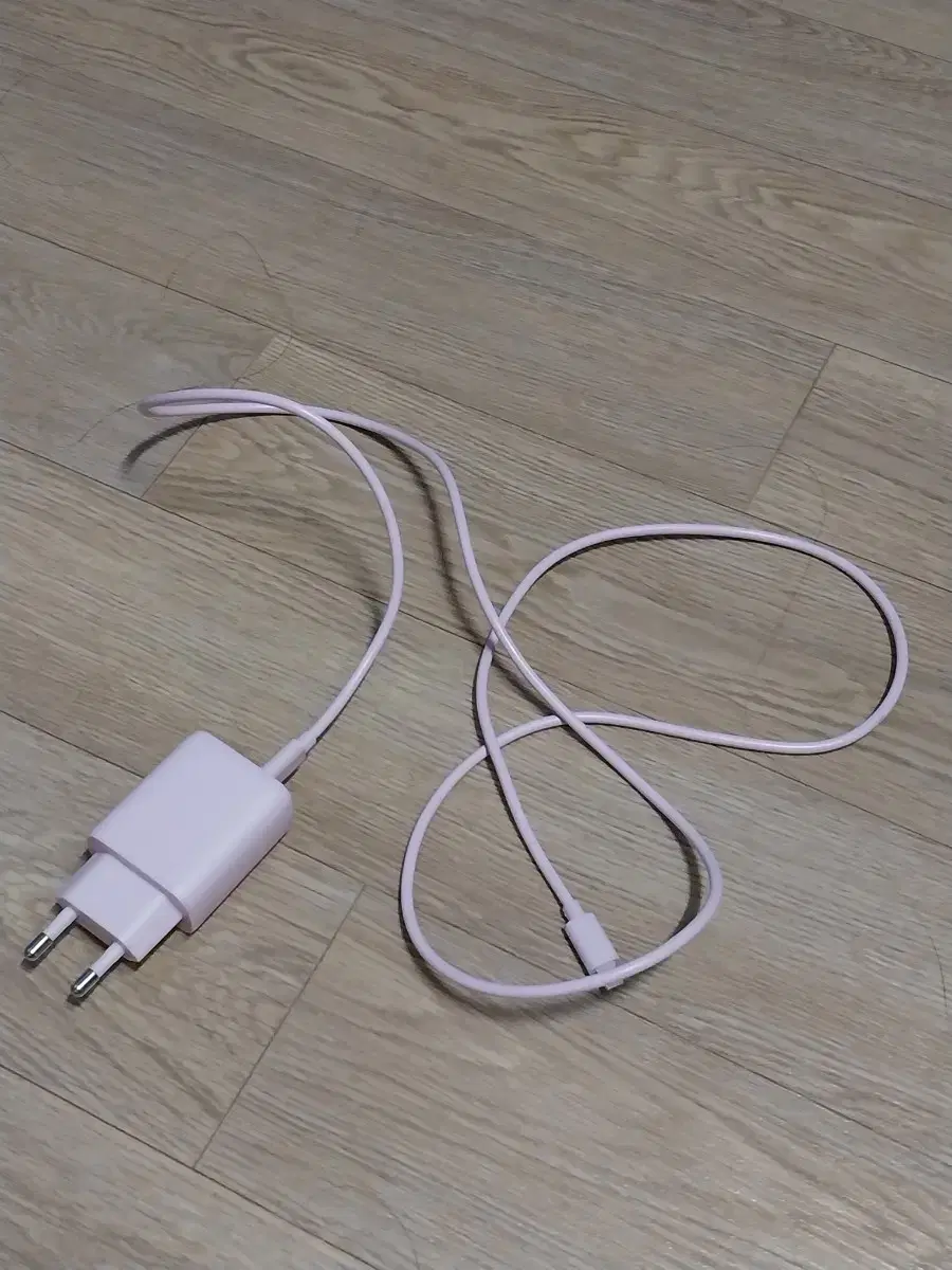 iPhone charger