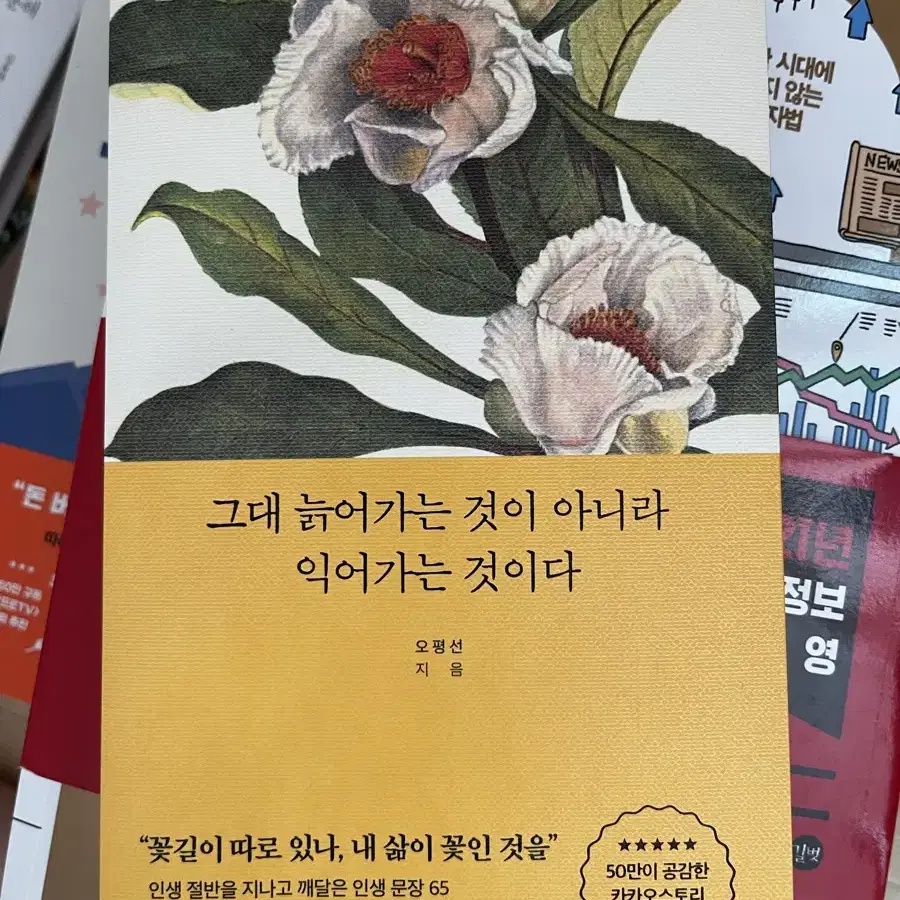 베스트셀러 도서 판매