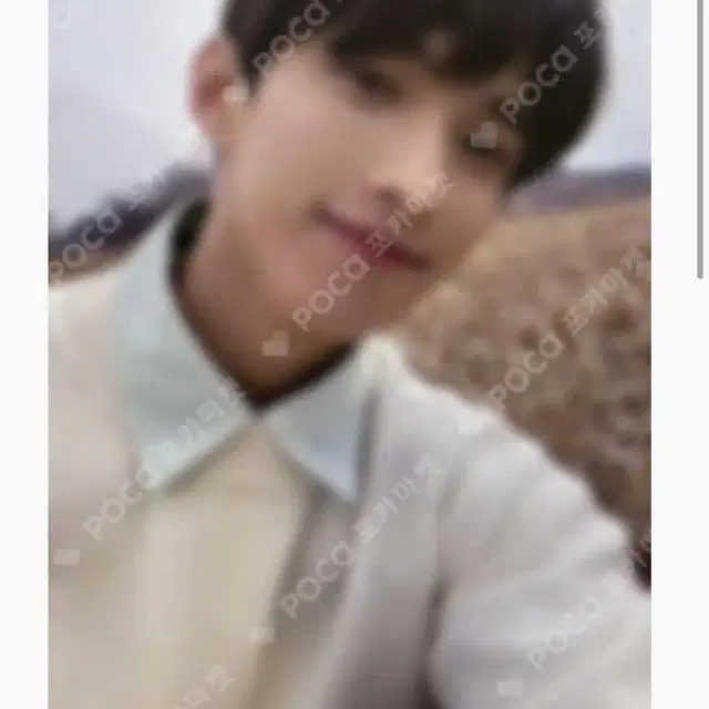 세븐틴 페더썬 도겸 포카