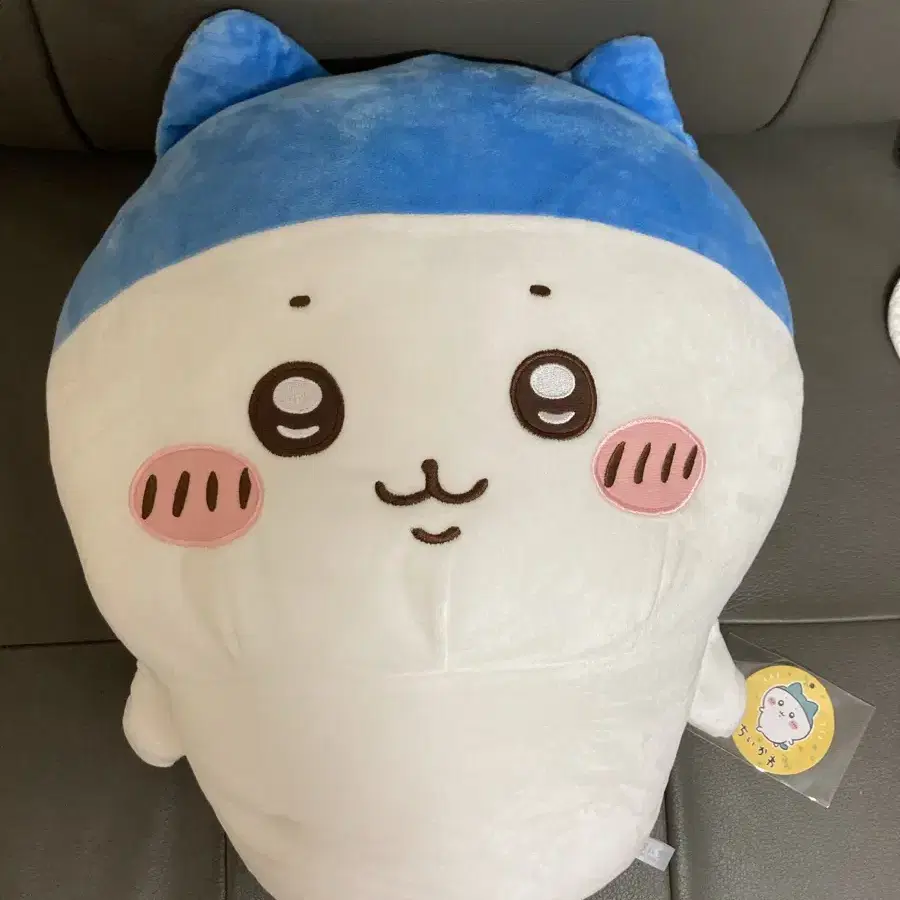 치이카와 하치와레 스포츠머리 45cm 빅인형