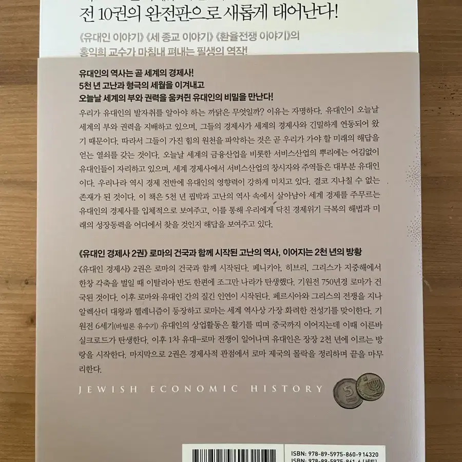 홍익희의 유대인 경제사 2 : 고난의 역사