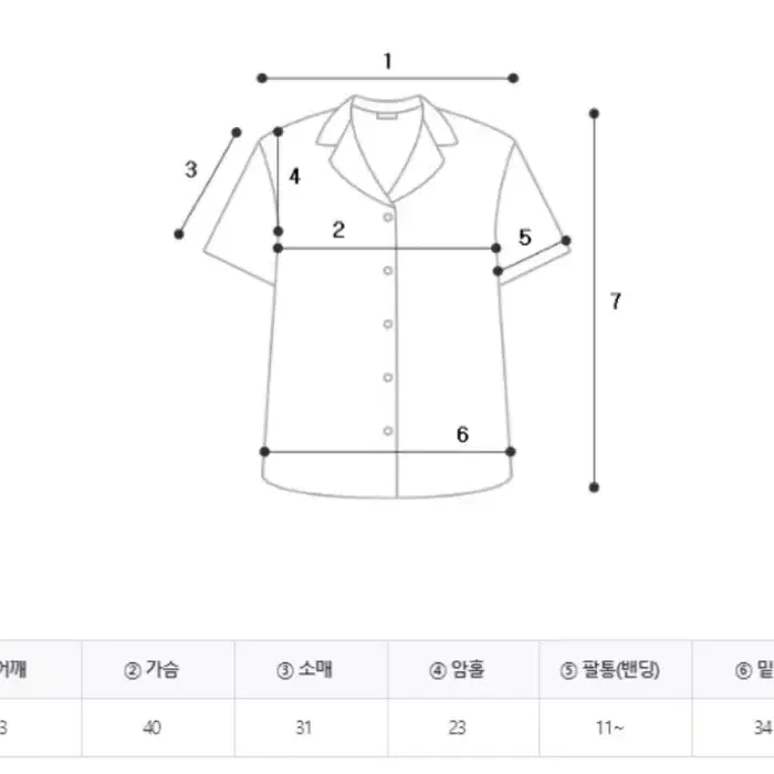 빅카라 반팔 블라우스