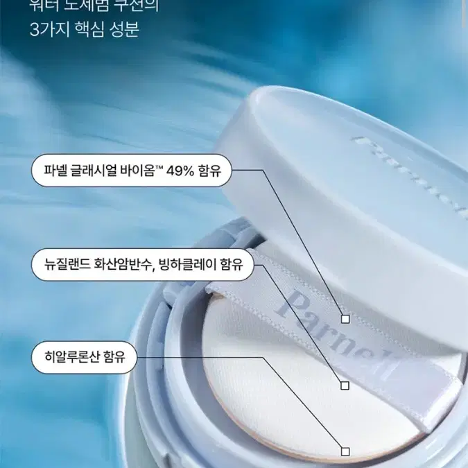 파넬 글래시얼 바이옴 워터 노세범 쿠션 파우더