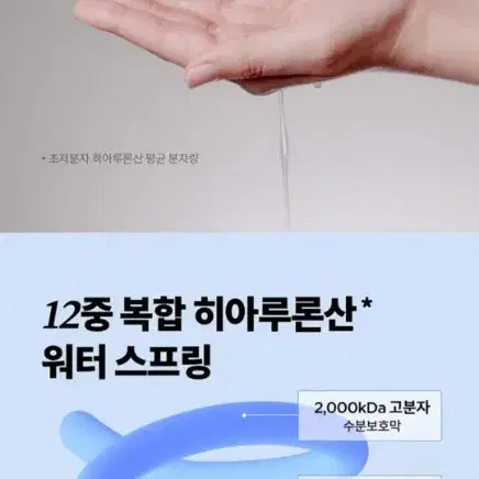 이즈앤트리 초저분자 히아루론산 마스크 10매