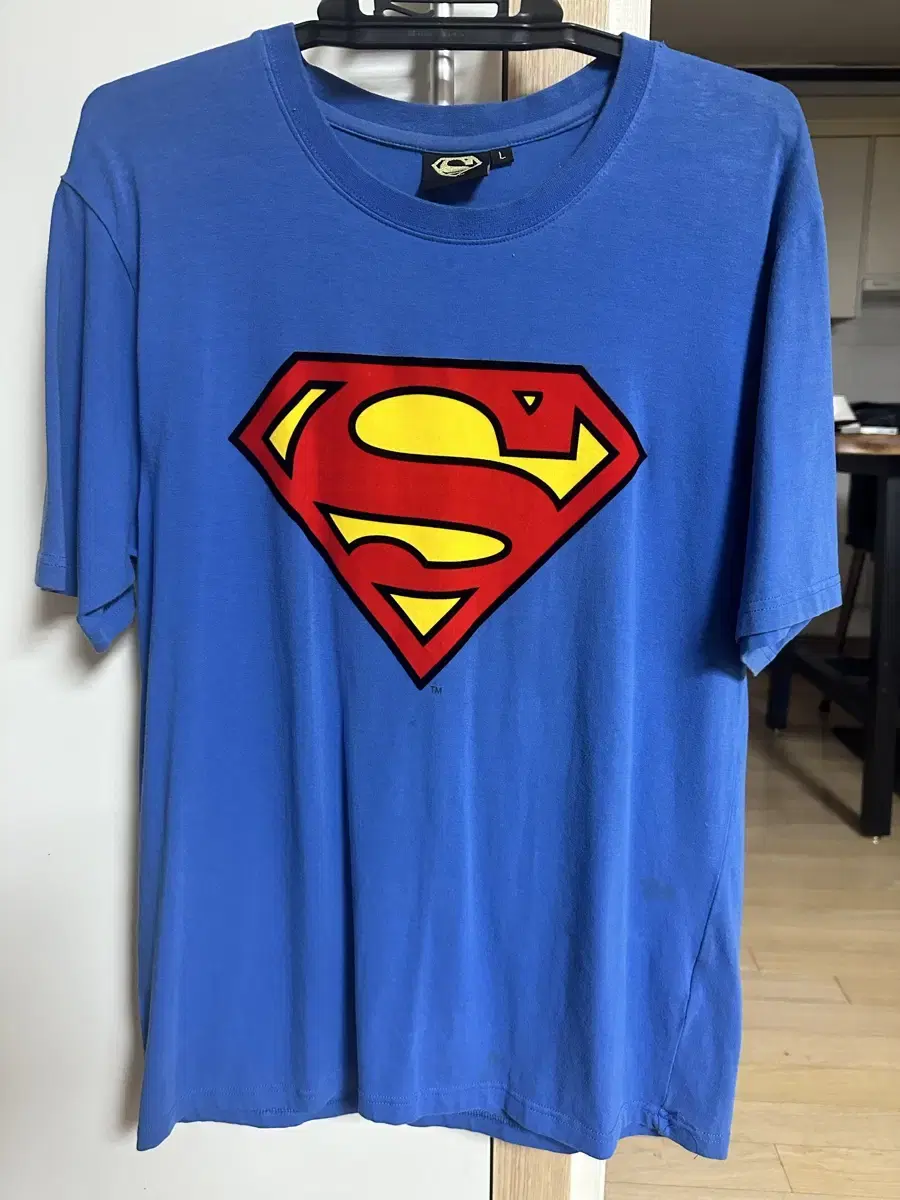 Superman T-Shirt (100-L)