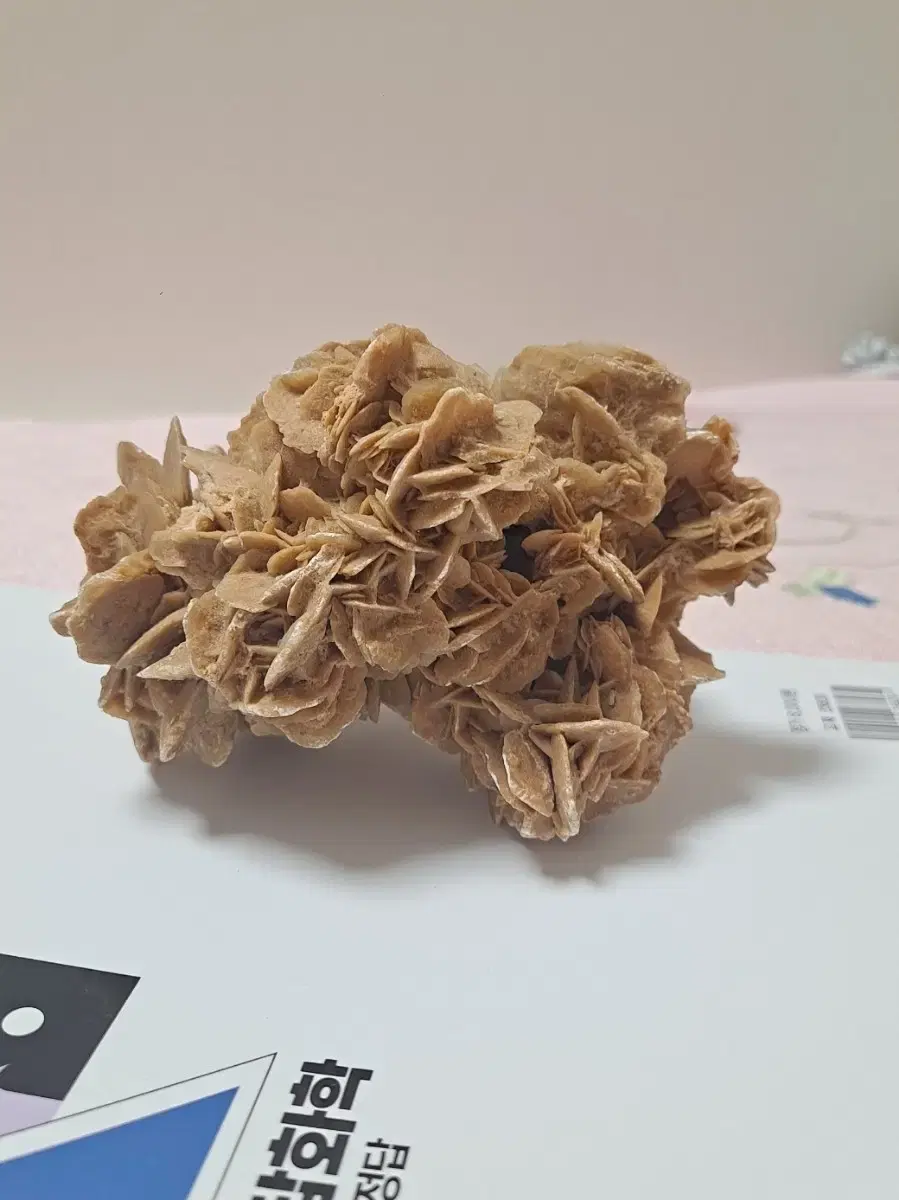 Rose gypsum chief mineral desert rose