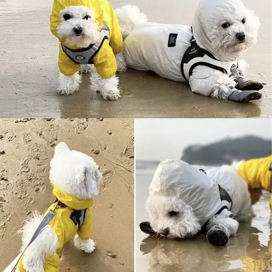 퍼피엔젤 에어 커버롤 우비겸 오염 등 보호용 옷