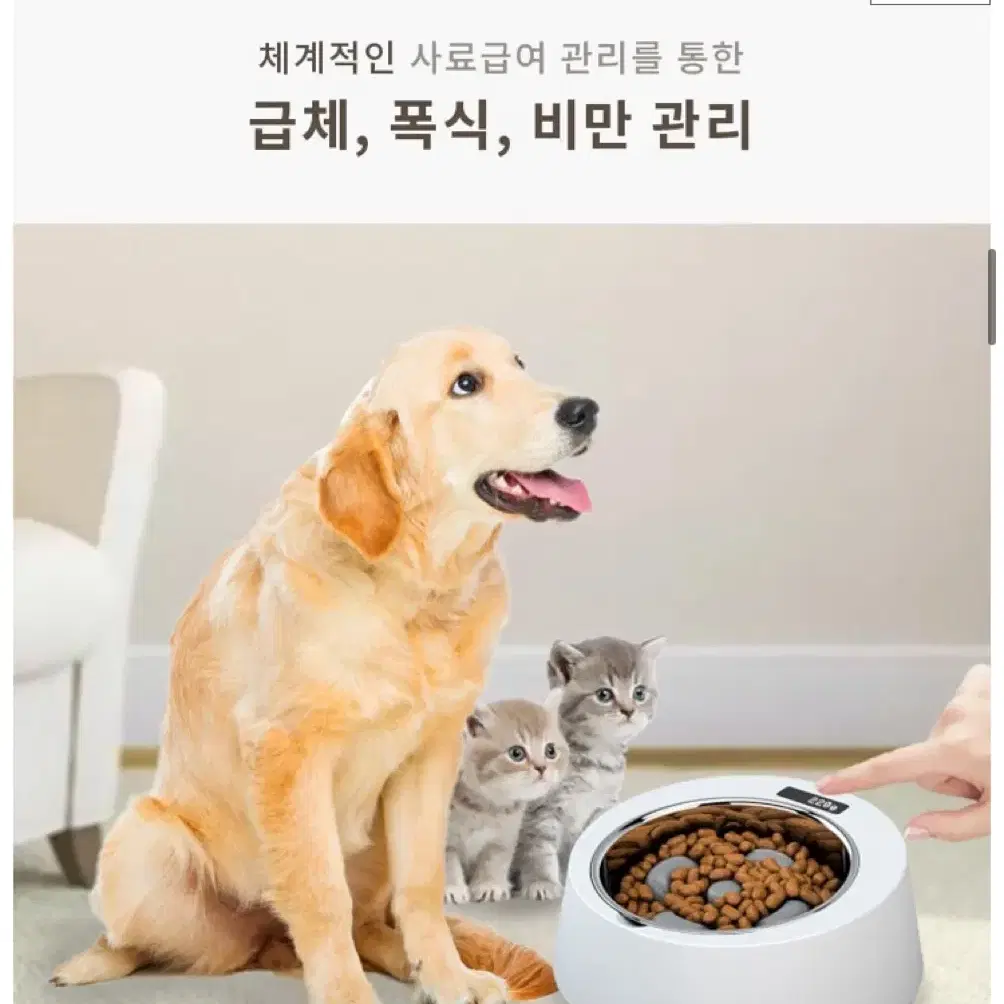 펫트리움 강아지 저울 급식기 2개