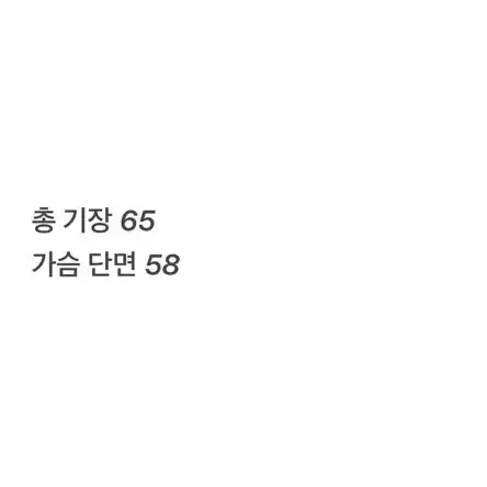 1.2 [ 정품/100 ] 노스페이스 경량패딩