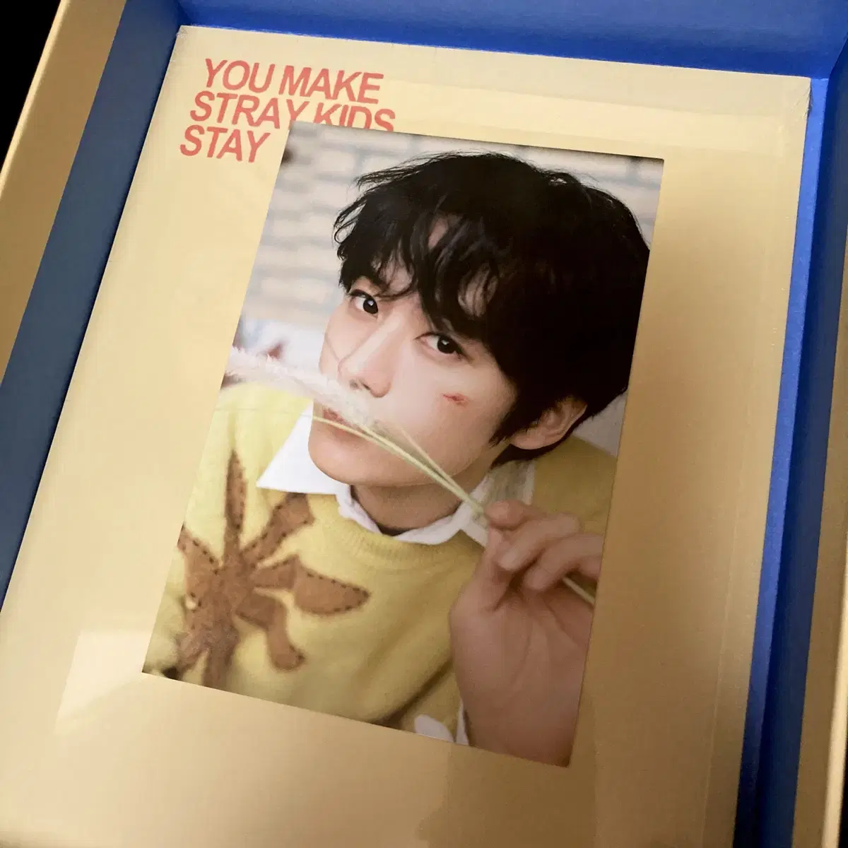 스트레이키즈 리노 엽서 스테이 4기 포토북 칙칙붐 락스타 증사홀더 현진