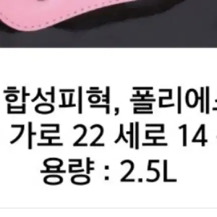 푸마 미니 보스턴백