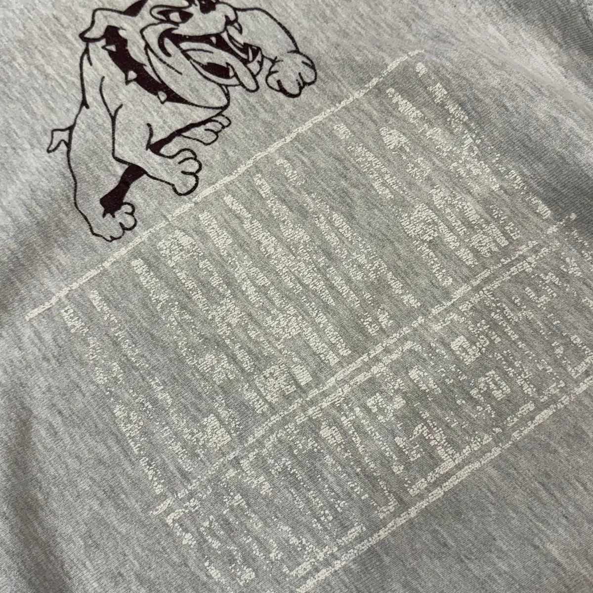 90s Champion Reverse Weave (L, 100)