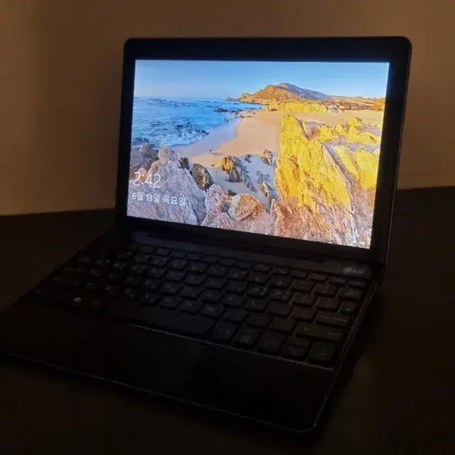 LG 태블릿 노트북(10T370-L860K)