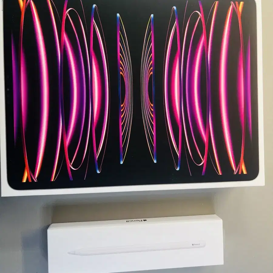 iPad Pro m2 12.9 1TB Cellular 6세대