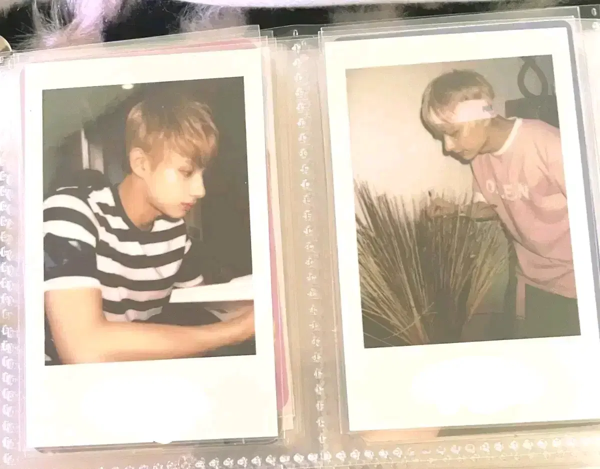 세븐틴 문준휘 준 폴라 짭폴라