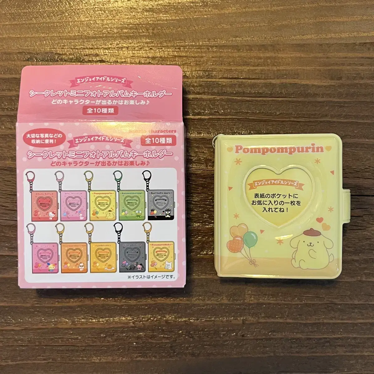 Sanrio) Pompompurin Mini album Keyring