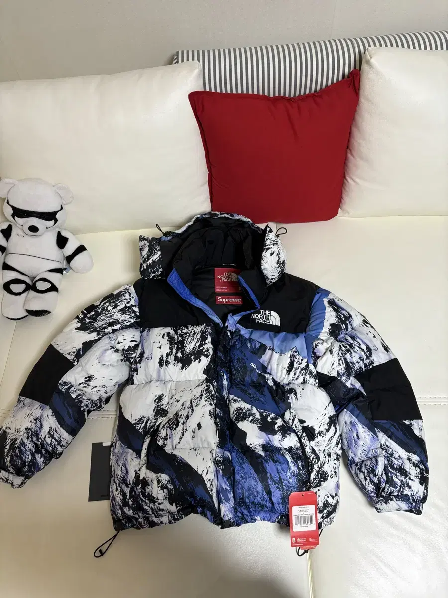 Supreme The North Face San Padding M