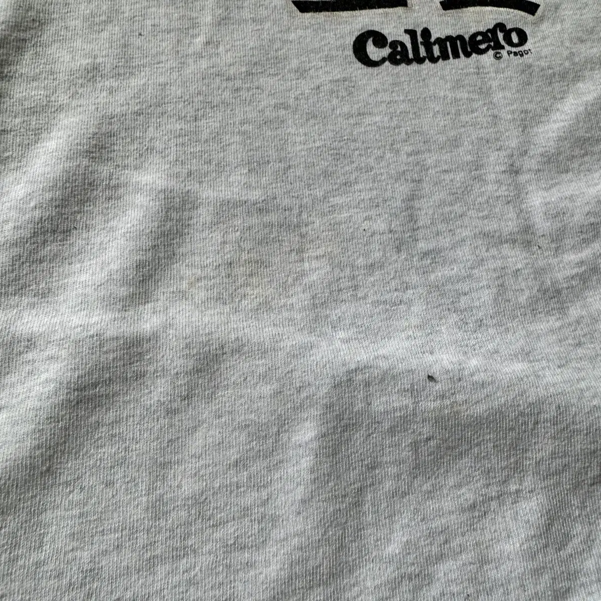 [XL] 90s Fruit Of The Loom Calimero 반팔티