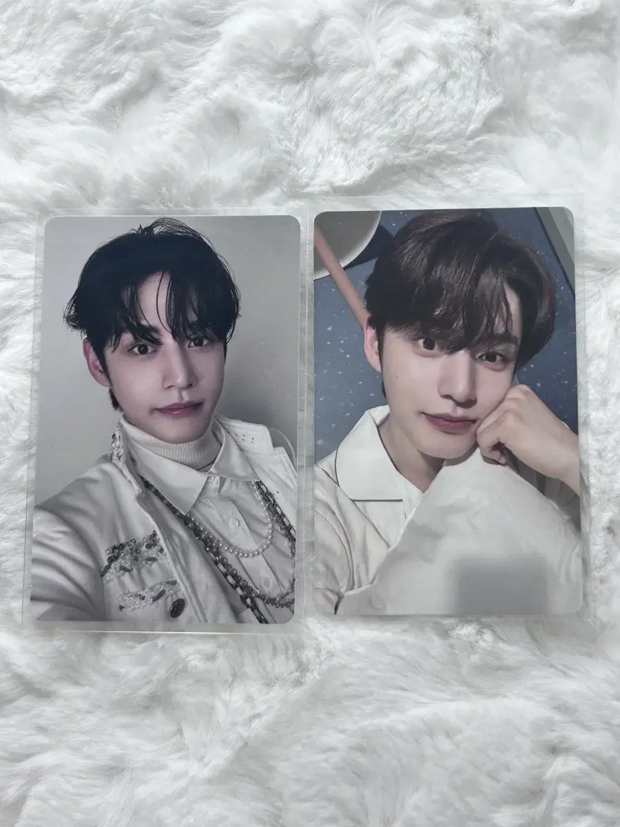 Bulk) zb1 kim jiwoong photocard Alpho Photo Card Zerobaseone