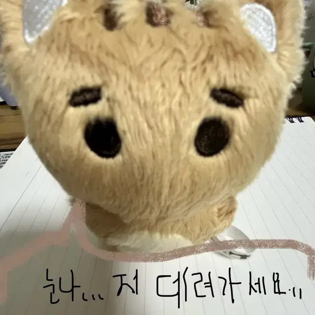 스트레이키즈 한 한지성 10cm 인형 장모 한냥이 양도합니다