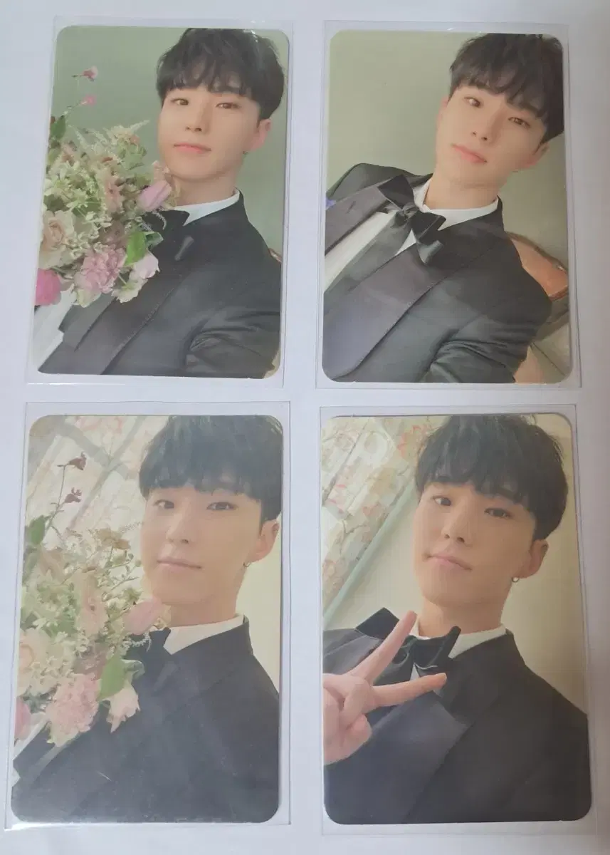 FML Caratbahn hoshi photocard Alphodvol