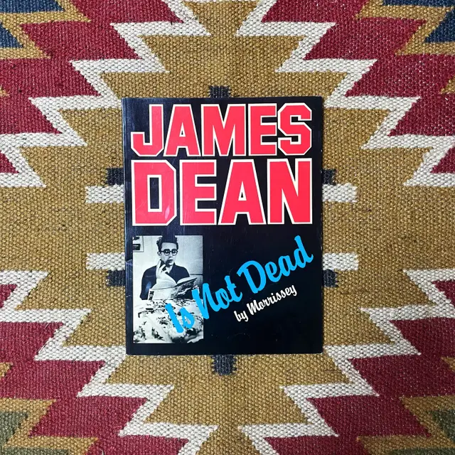 JAMES DEAN IS NOT DEAD / STEVE